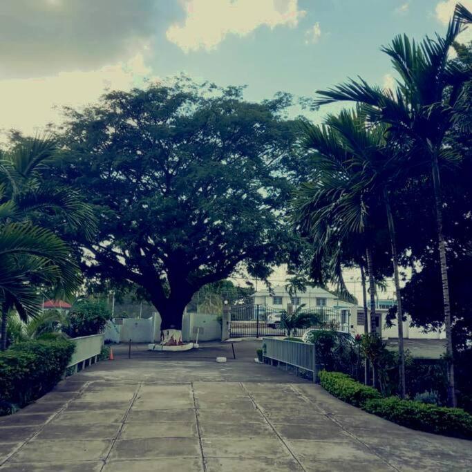Crystoural Apartment Liguanea Sovereign 2 BR Apt- Kingston! Exterior foto