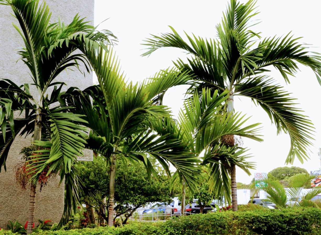 Crystoural Apartment Liguanea Sovereign 2 BR Apt- Kingston! Exterior foto