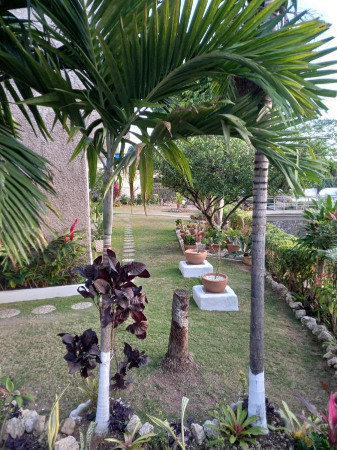 Crystoural Apartment Liguanea Sovereign 2 BR Apt- Kingston! Exterior foto